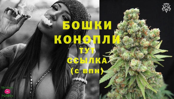 соль ск Горно-Алтайск
