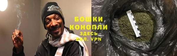 крисы Горнозаводск