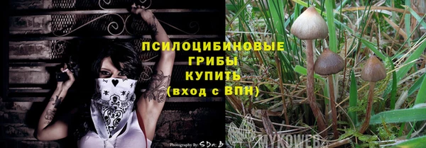дмт Горняк
