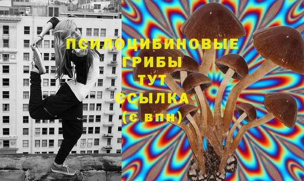 крисы Горнозаводск